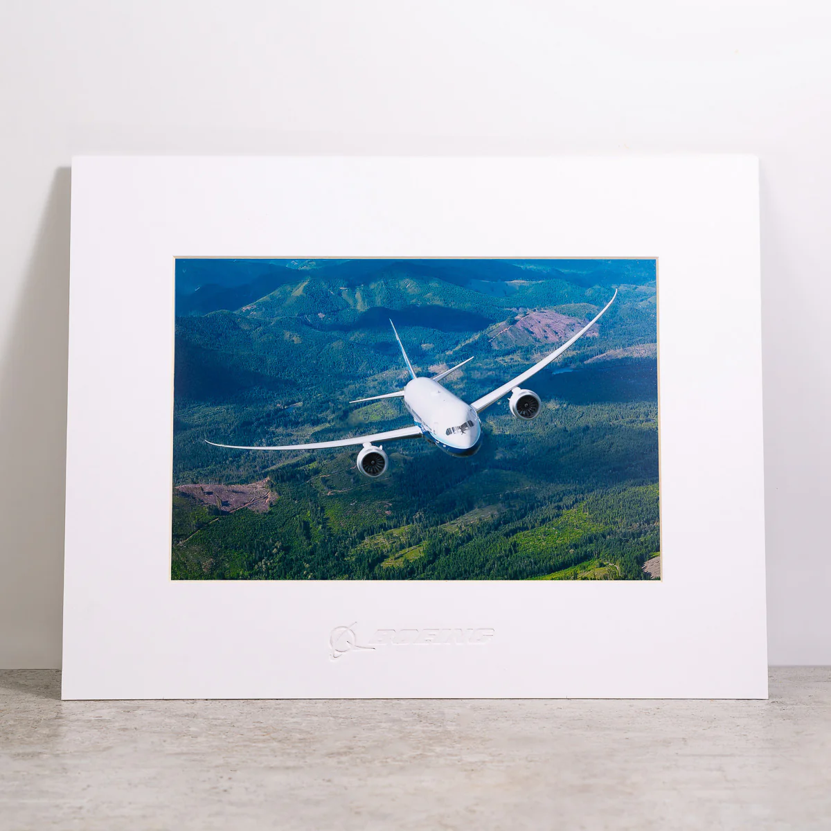 Boeing 787 Dreamliner Matted Print - Small